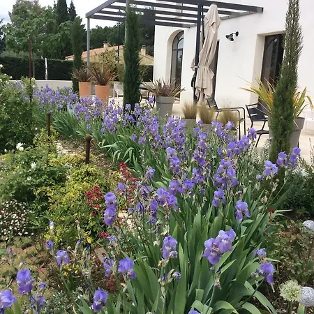 Chez Odile