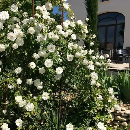فندق مبيت وإفطار Chez Odile 2*