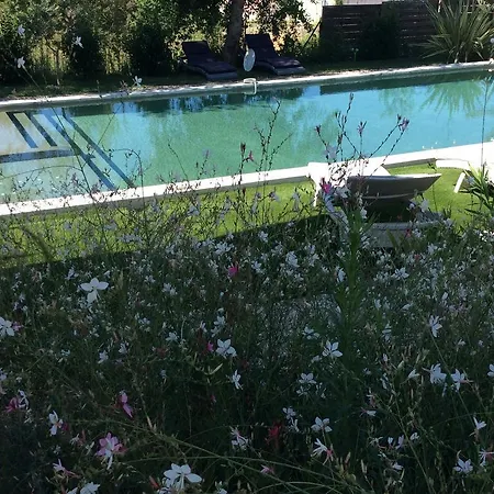 فندق مبيت وإفطار Chez Odile