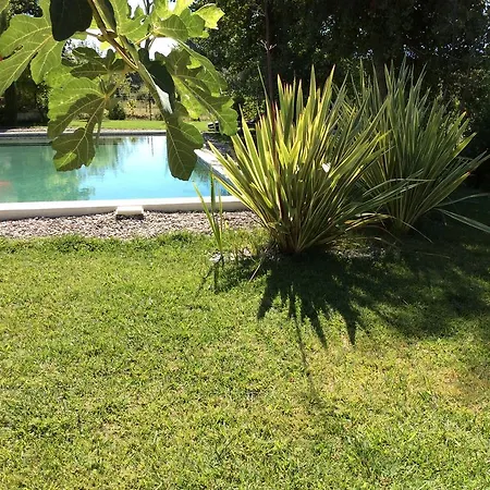 Chez Odile