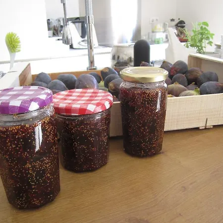 فندق مبيت وإفطار Chez Odile Saint Didier (Vaucluse)